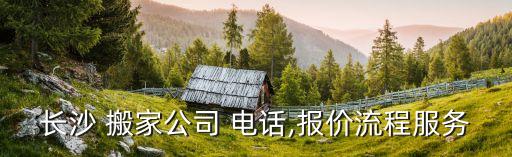 长沙 搬家公司 电话,报价流程服务