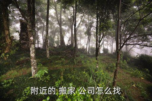 这附近哪里有搬家公司