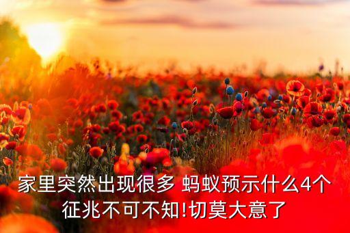 大量蚂蚁搬家有什么预兆,蚂蚁入宅预兆