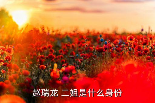 赵瑞龙 二姐是什么身份