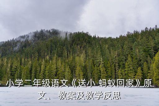 小学二年级语文《送小 蚂蚁回家》原文、 教案及教学反思