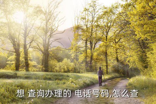 想 查询办理的 电话号码,怎么查