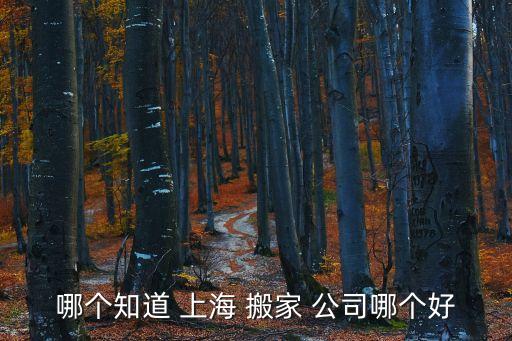哪个知道 上海 搬家 公司哪个好