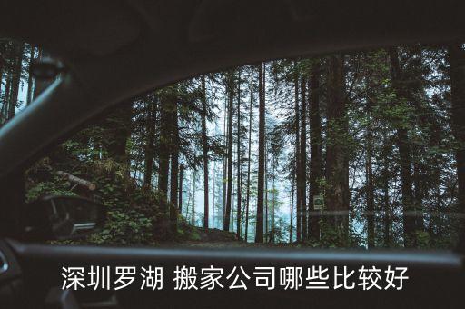 深圳如意蚂蚁搬家联系人
