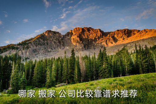哪家 搬家 公司比较靠谱求推荐
