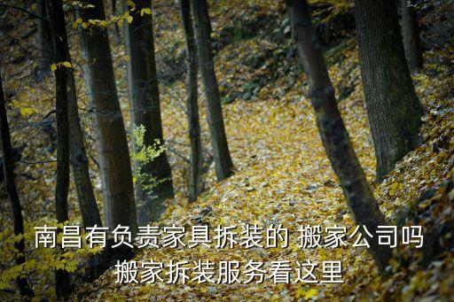 南昌搬家企业电话,南昌快狗搬家电话