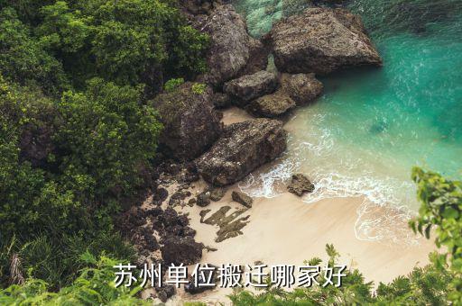 苏州单位搬迁哪家好