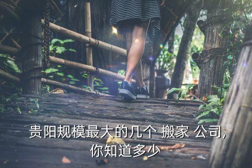  贵阳规模最大的几个 搬家 公司,你知道多少