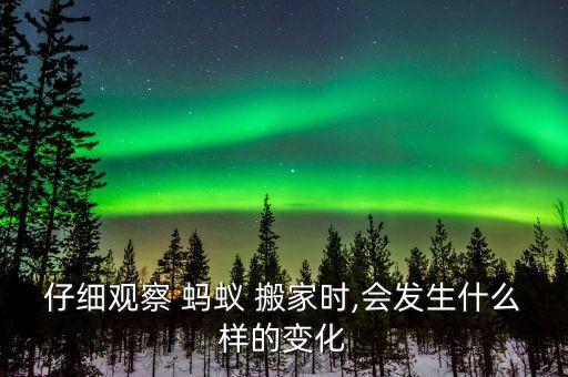 蚂蚁搬家不能走直线
