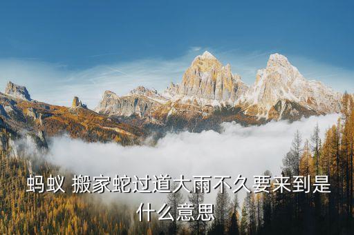  蚂蚁 搬家蛇过道大雨不久要来到是什么意思