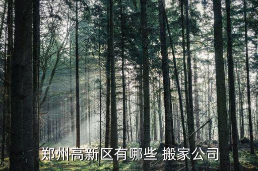  郑州高新区有哪些 搬家公司