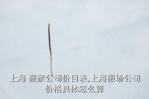 上海 搬家公司价目表,上海搬场公司价格具体怎么算