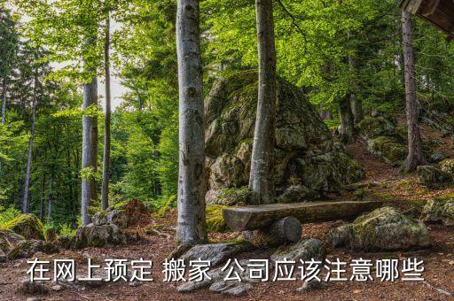 在网上预定 搬家 公司应该注意哪些
