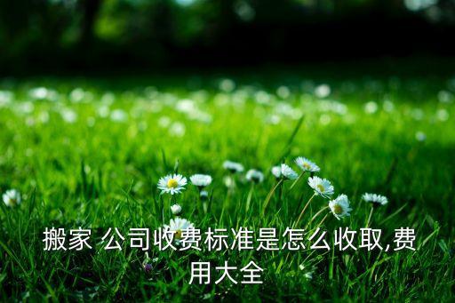  搬家 公司收费标准是怎么收取,费用大全