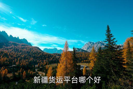  新疆货运平台哪个好