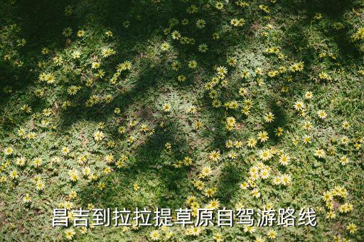 昌吉到吐鲁番物流搬家公司