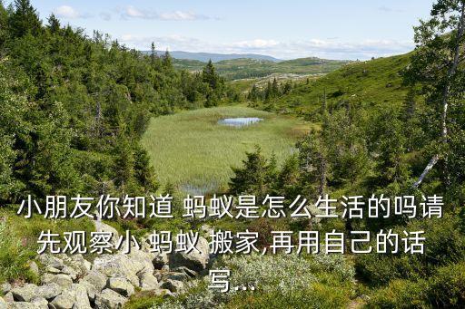 小蚂蚁搬家的图片高级大全,蚂蚁搬家画图片大全简笔画