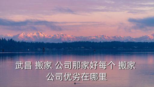 武昌 搬家 公司那家好每个 搬家 公司优劣在哪里