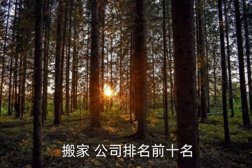  搬家 公司排名前十名