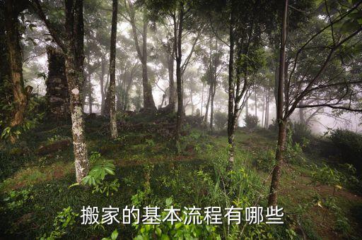  搬家的基本流程有哪些