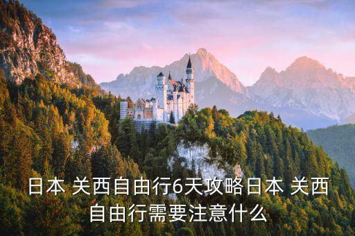 关西租车搬家电话