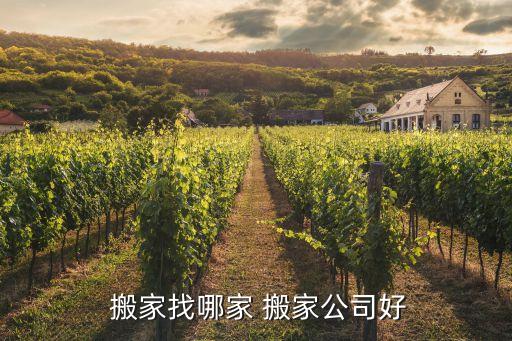 沈阳诚信搬家服务电话地址