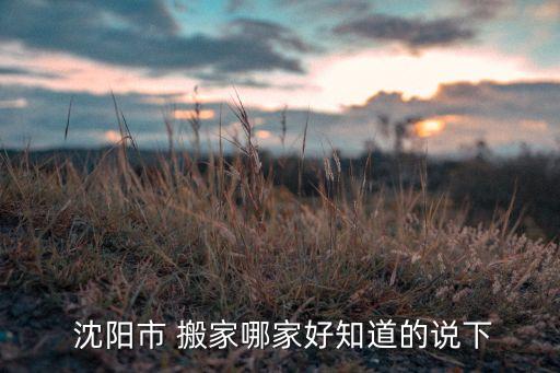  沈阳市 搬家哪家好知道的说下