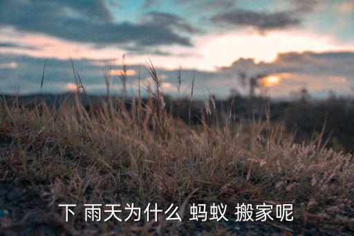 下 雨天为什么 蚂蚁 搬家呢