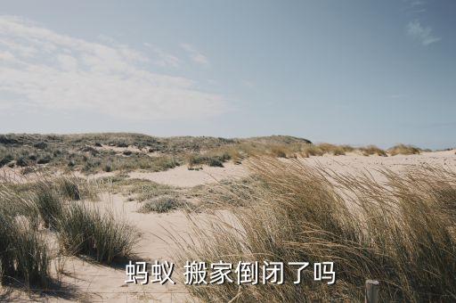  蚂蚁 搬家倒闭了吗