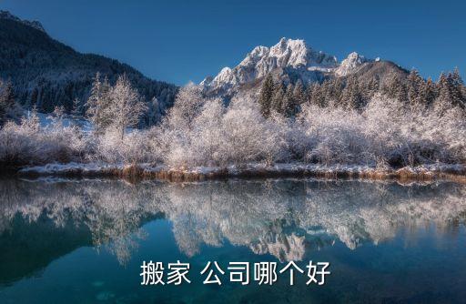  搬家 公司哪个好