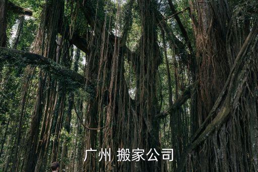 广州 搬家公司