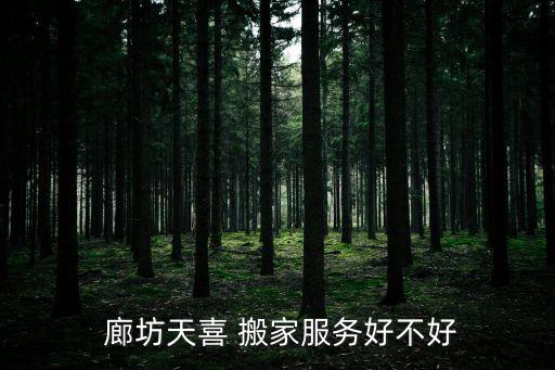  廊坊天喜 搬家服务好不好