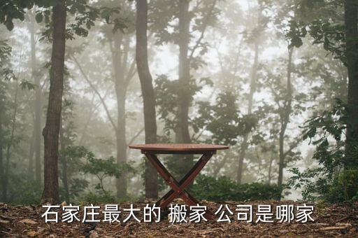 石家庄最大的 搬家 公司是哪家