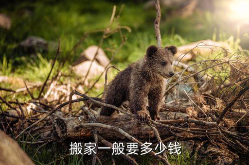  搬家一般要多少钱