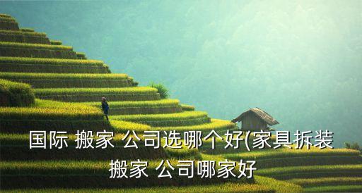 大阪搬家公司推荐广州公司