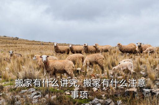 东海县搬家公司招工,山东搬家公司招工一天一结