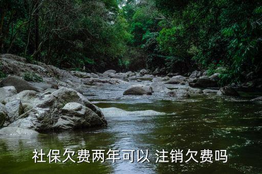 社保欠费两年可以 注销欠费吗