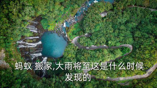 蚂蚁 搬家,大雨将至这是什么时候发现的