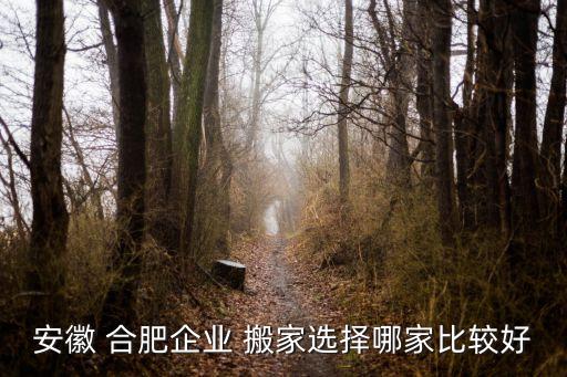 安徽 合肥企业 搬家选择哪家比较好
