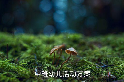  中班幼儿活动方案