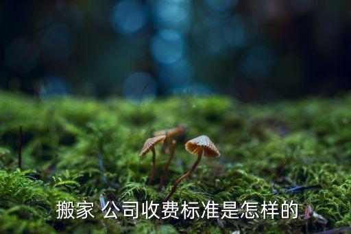  搬家 公司收费标准是怎样的