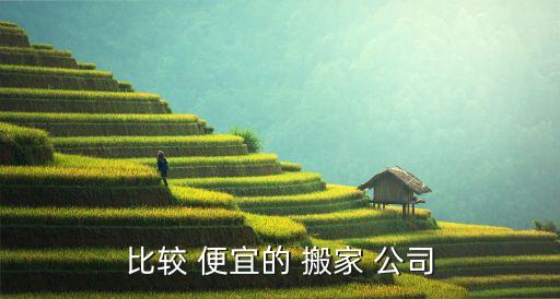 比较 便宜的 搬家 公司