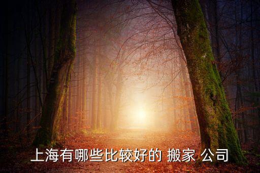 上海有哪些比较好的 搬家 公司