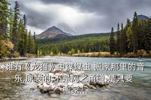 宁波甬飞搬家公司,宁波搬家公司的电话号码多少