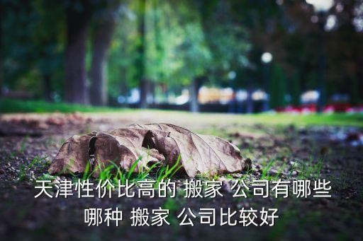  天津性价比高的 搬家 公司有哪些哪种 搬家 公司比较好