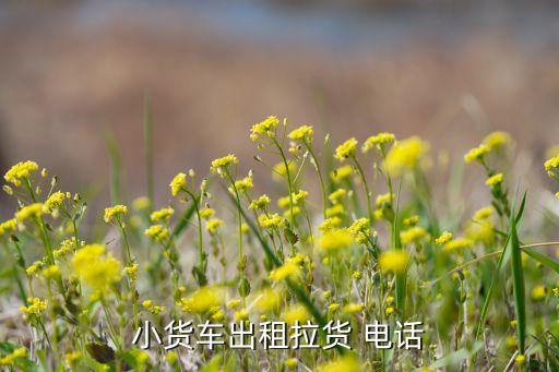 小货车出租拉货 电话