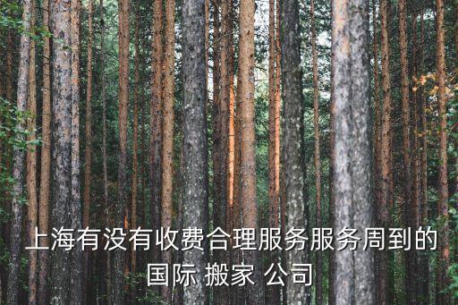  上海有没有收费合理服务服务周到的国际 搬家 公司