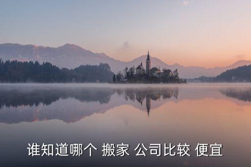 谁知道哪个 搬家 公司比较 便宜