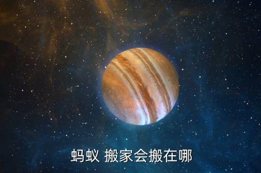  蚂蚁 搬家会搬在哪