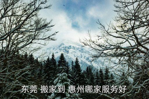 东莞 搬家到 惠州哪家服务好